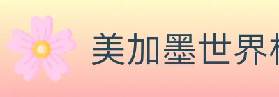 美加墨世界杯APP下载 Logo